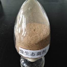 山西芝麻香型白酒高效微生態(tài)菌劑